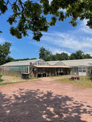 Kas met kopkas